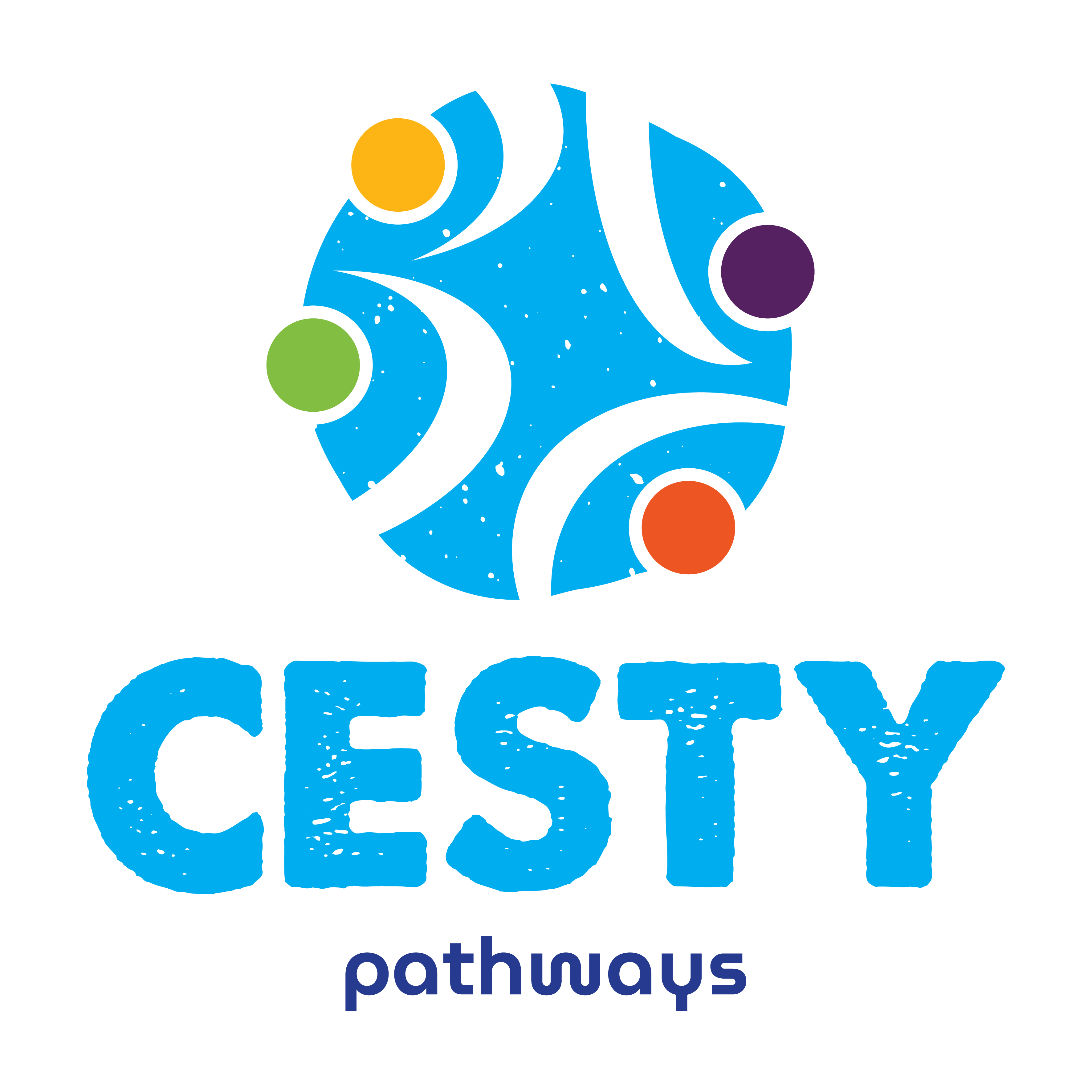 Program Cesty